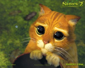 un-wallpaper-del-gatto-con-gli-stivali-per-il-film-d-animazione-shrek-2-118671