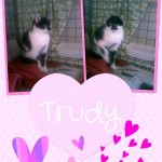 trudy1