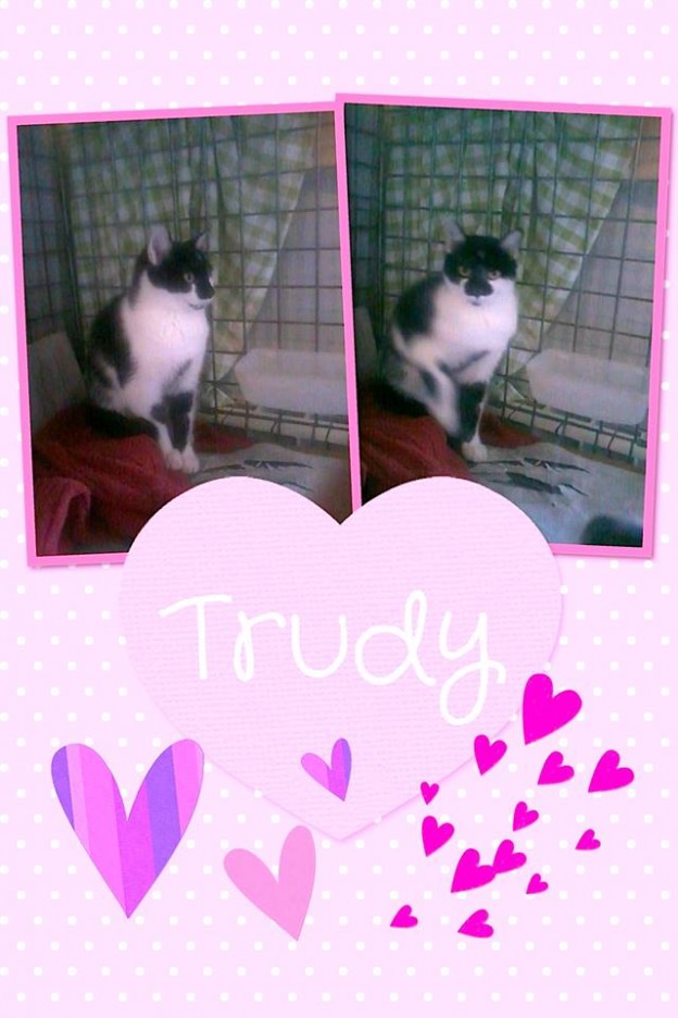 trudy1