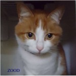 zood