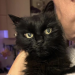 Screenshot 2025-12-09 alle 13.51.42